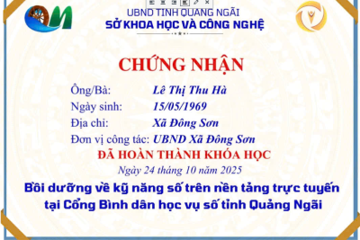 Chứng nhận bồi dưỡng về kỹ năng số trên nền tảng trực tuyến “Bình dân học vụ số” tỉnh Quảng Ngãi của trường THCS Bình Châu.